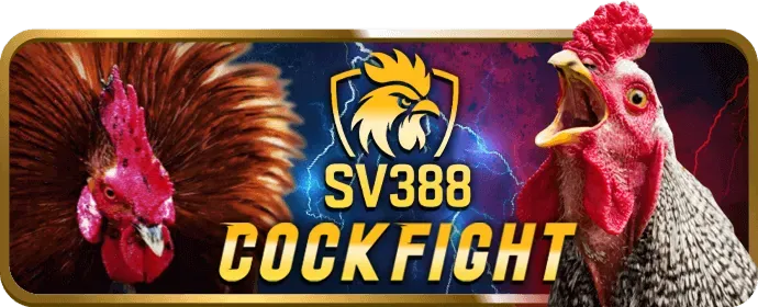 Giải thích vipwin code và lợi ích độc quyền